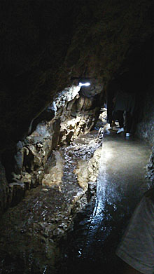龍河洞の内部写真1