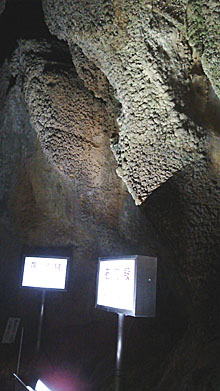 龍河洞の内部写真3